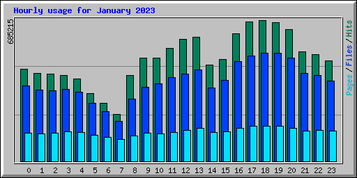 Hourly usage for January 2023
